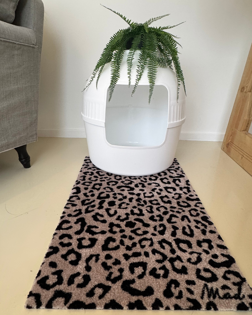 Zondag 29 maart 10u tot 12u onthaal 9u30 - 7