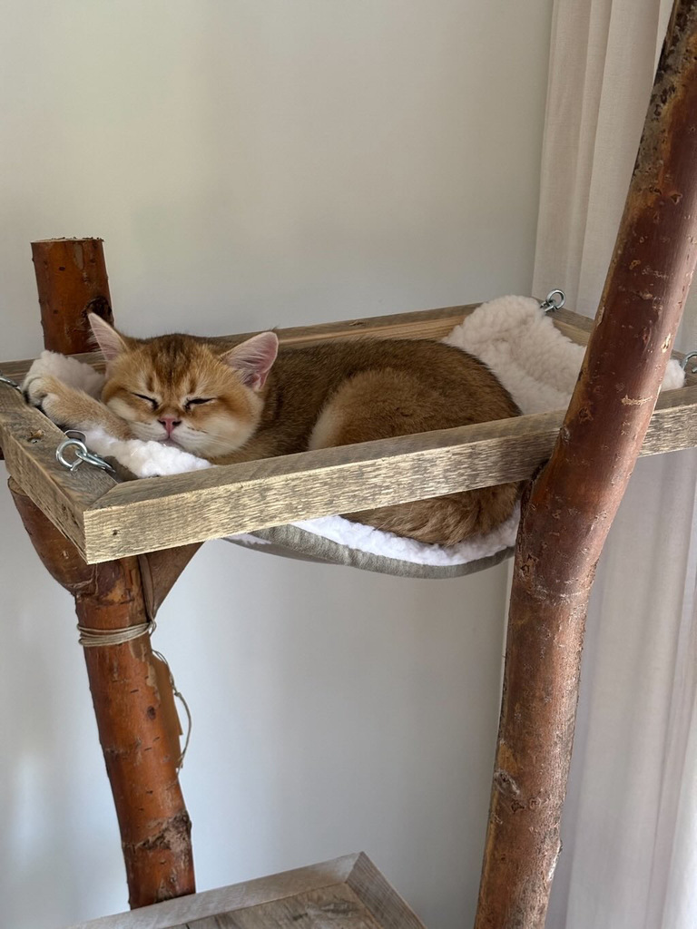 A79FF73B-979E-44B4-967F-14109F1D54CA