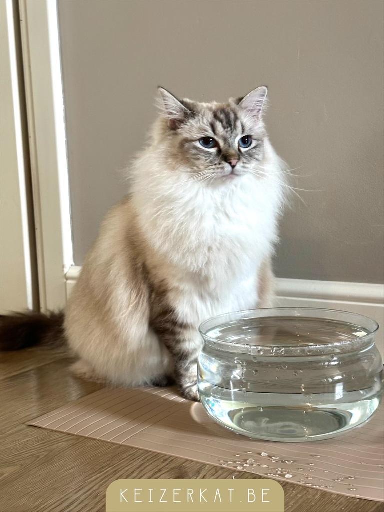 eZy Watermark_09-08-2024_02-54-55-0720PM