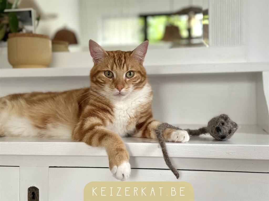 eZy Watermark_05-09-2024_07-50-17-9960AM