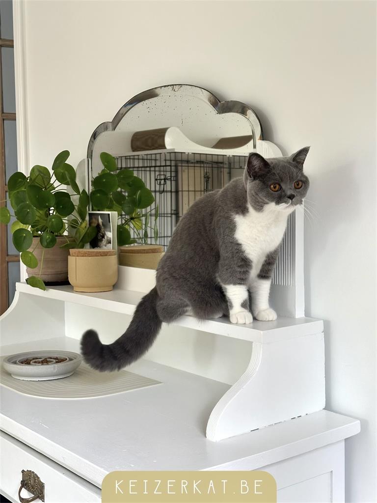 eZy Watermark_20-07-2024_10-15-34-0060AM