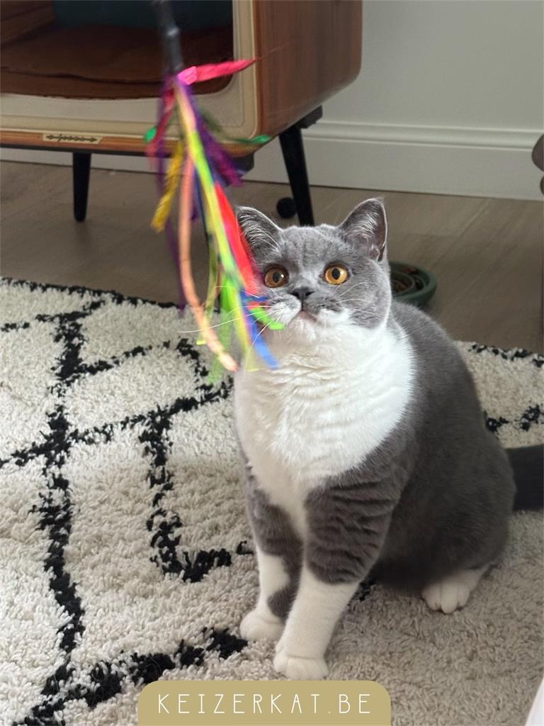 eZy Watermark_02-08-2024_07-52-57-6410AM