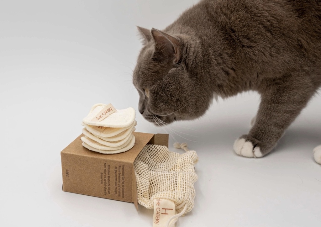 Ontwerp zonder titel - 22