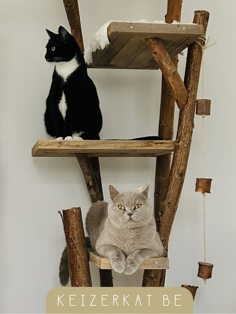 eZy Watermark_03-09-2025_09-47-59-9930AM