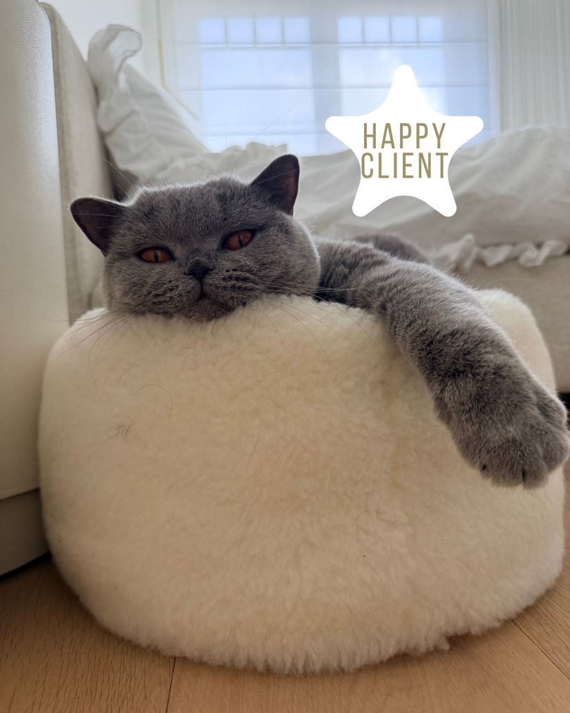 Happyclient + kadobon - Kadobon!!!! (2)