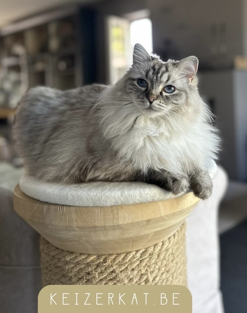 eZy Watermark_21-06-2025_03-14-24-0310PM