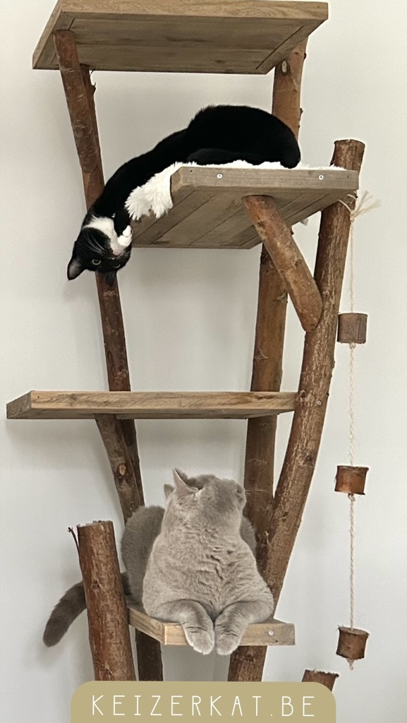 eZy Watermark_03-09-2025_09-49-59-2190AM