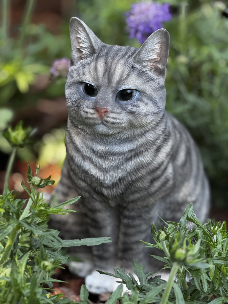 IMG_2488