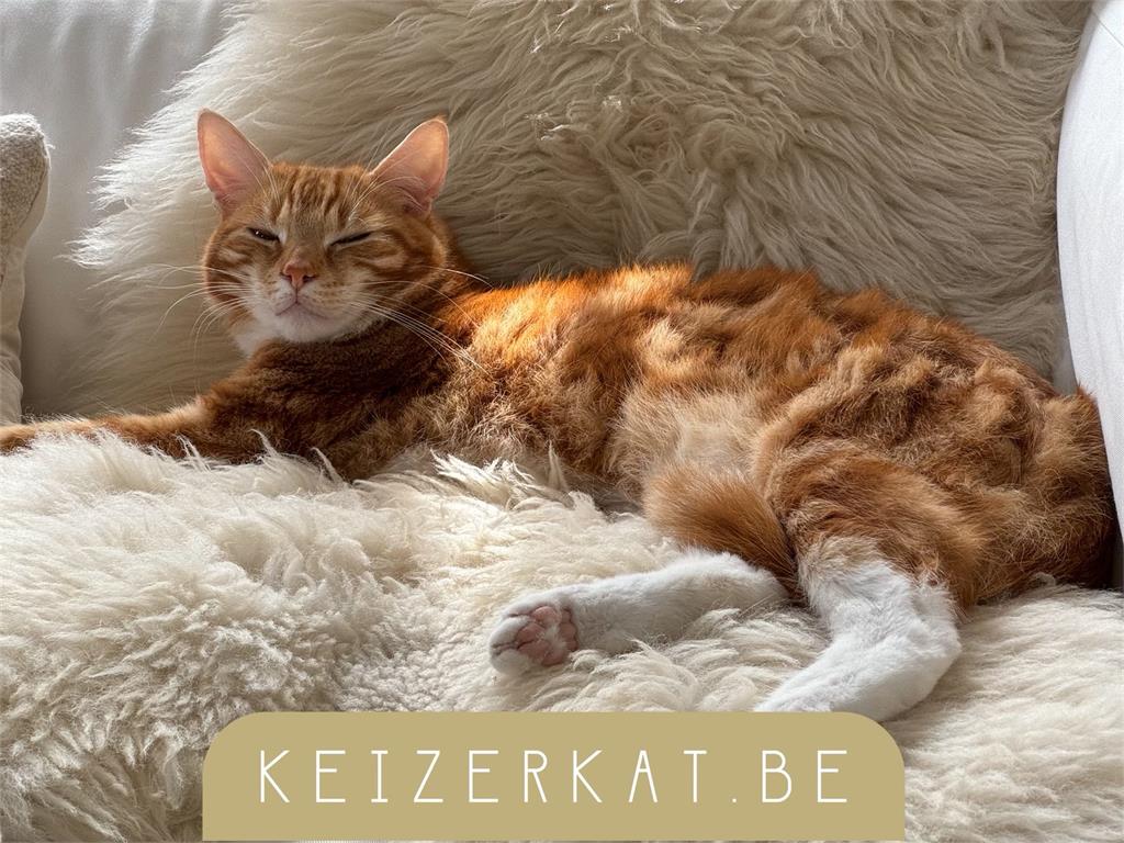 eZy Watermark_06-09-2024_10-18-25-3050PM