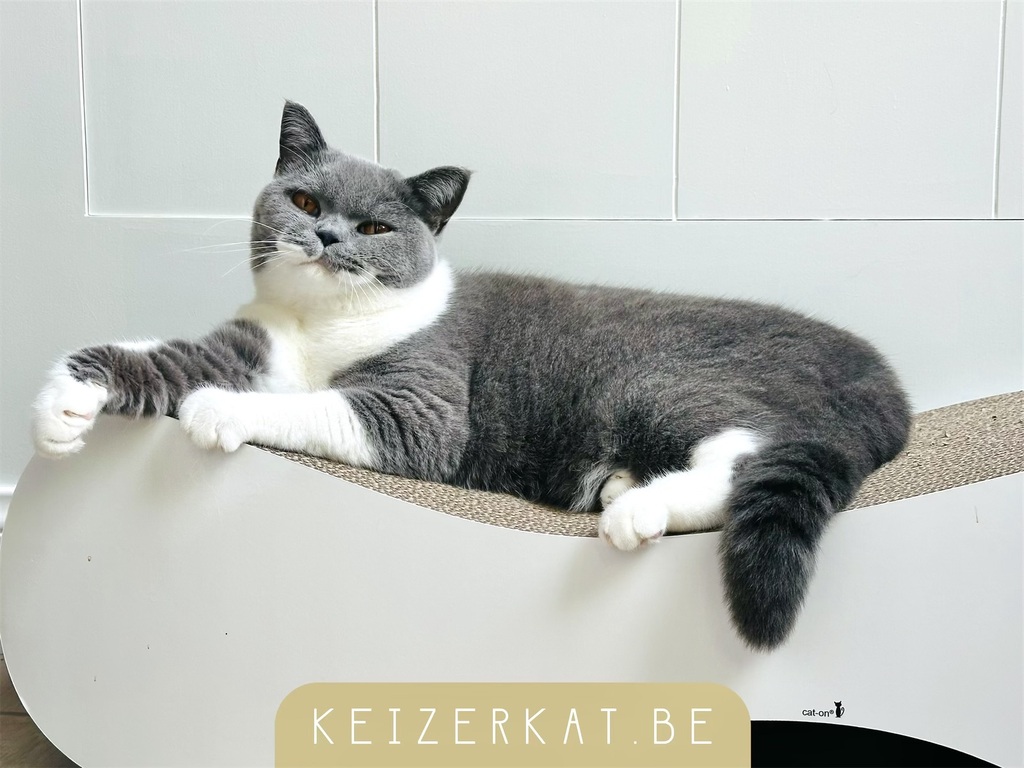 eZy Watermark_17-07-2024_06-16-12-5100PM