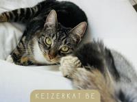 8f425b3b-fa84-48be-a7c8-0e87420e8fdb