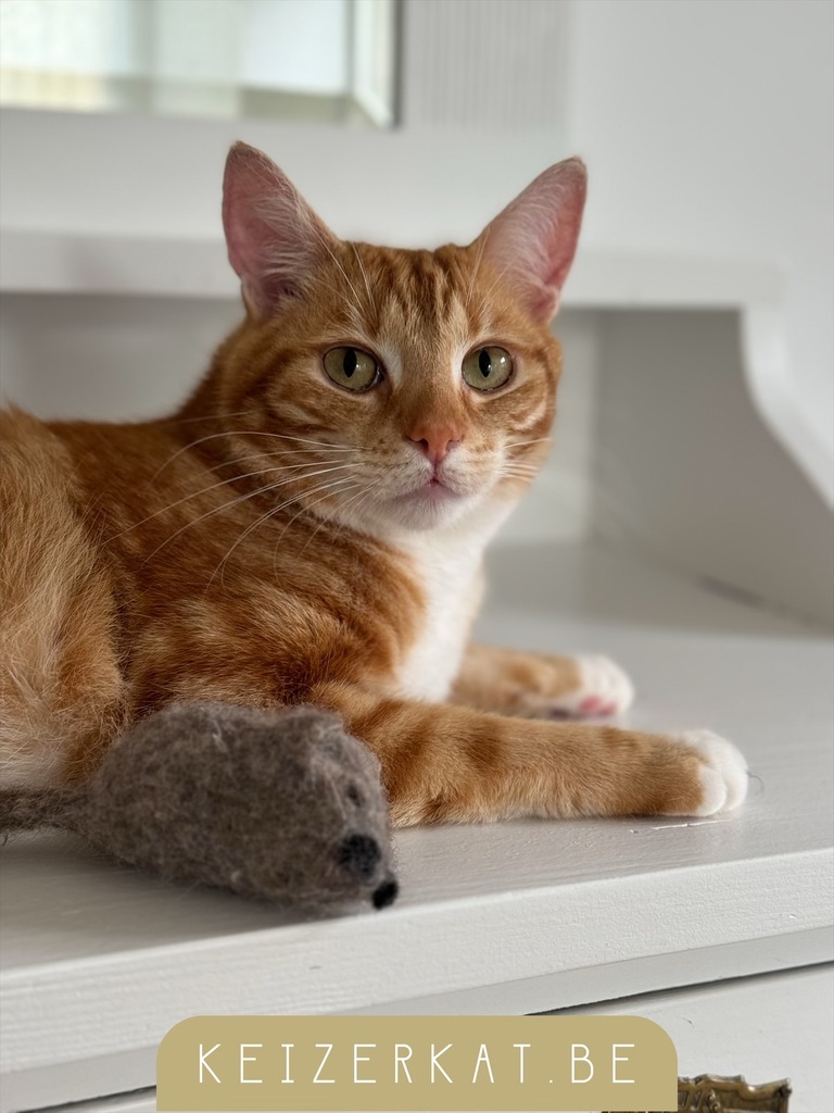 eZy Watermark_05-09-2024_07-49-36-1330AM