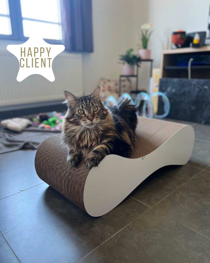 Happyclient + kadobon - Kadobon!!!! (6)