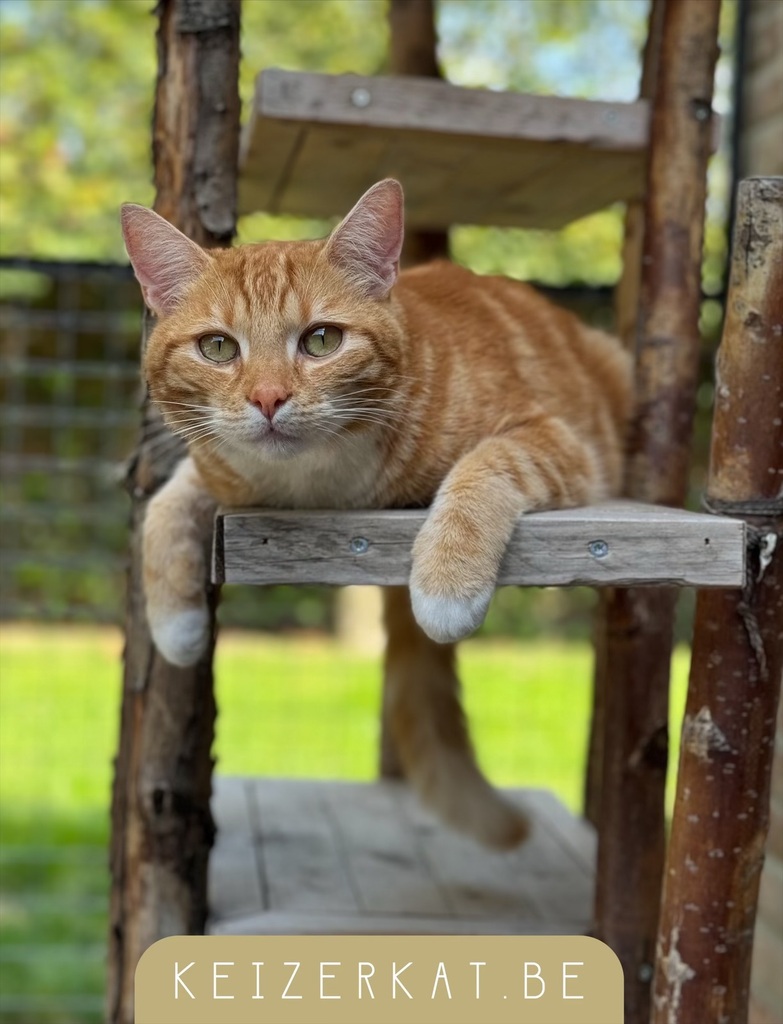 eZy Watermark_26-08-2024_03-19-34-2670PM