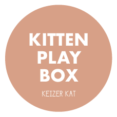 KITTEN PLAY